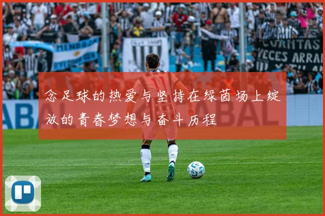念足球的热爱与坚持在绿茵场上绽放的青春梦想与奋斗历程