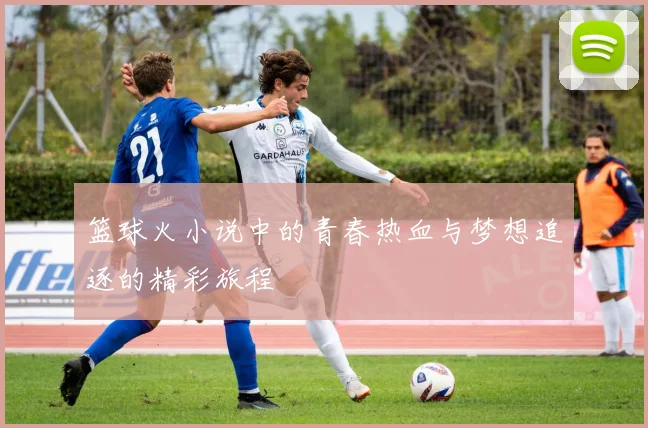 篮球火小说中的青春热血与梦想追逐的精彩旅程