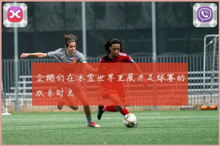 企鹅们在冰雪世界里展开足球赛的欢乐时光