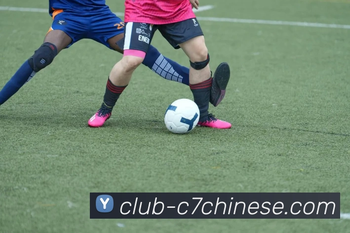 C7娱乐全站App C7娱乐全站App